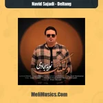 دانلود آهنگ نوید سجادی دلتنگ