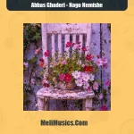 دانلود آهنگ عباس قادری نگو نمیشه